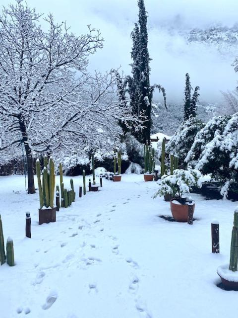 Hotel Altiplanico Cajon Del Maipo San José de Maipo 외부 사진